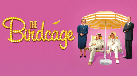 Movie poster for The Birdcage