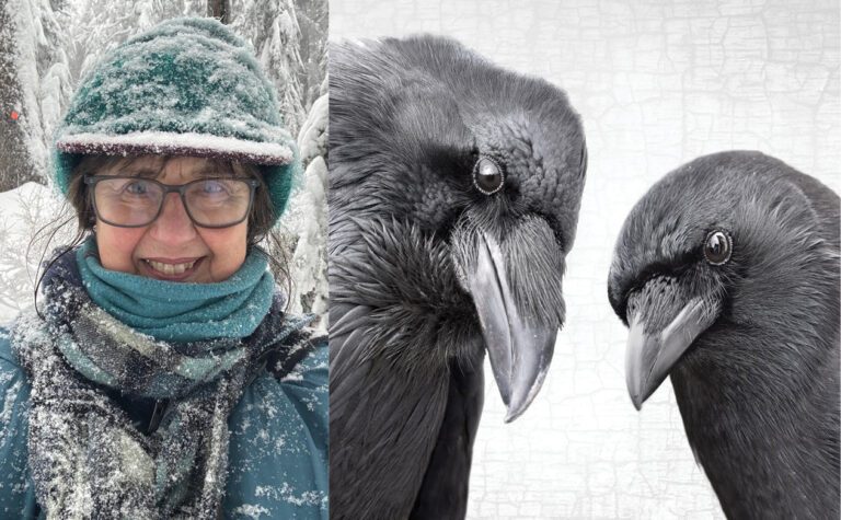 A headshot of a smiling June Hunter bundled up in the snow beside a photo of a raven and a crow. 