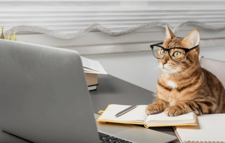 A cat wearing glasseses uses a computer while taking notes in a notebook