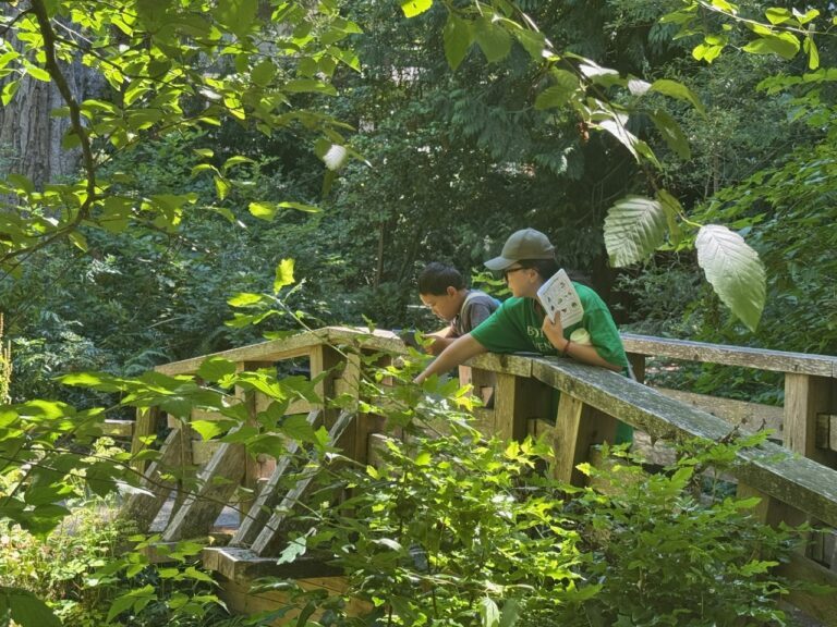 Children peering over the edge of a bridge pointing at foilage.